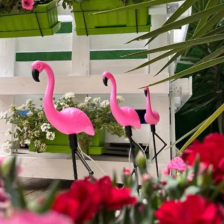 Casa Flamingo Campingplatz