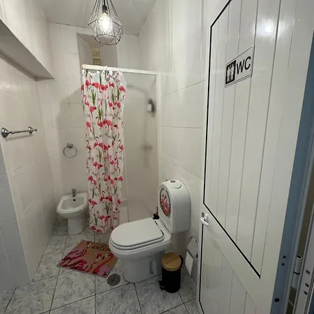 Casa Flamingo Figueira da Foz