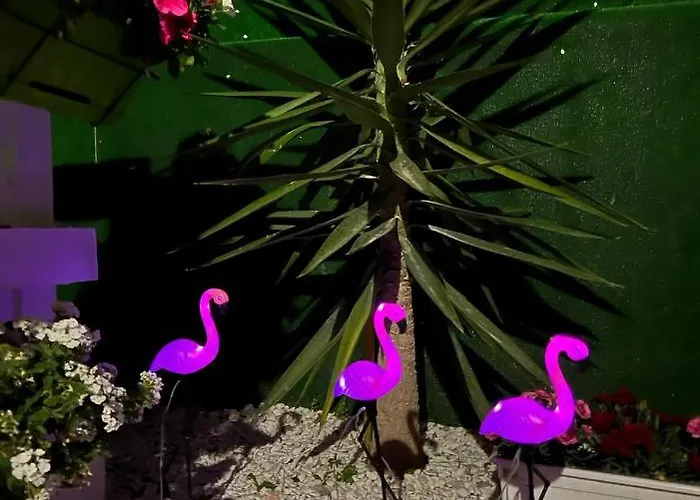 Parque de Campismo Casa Flamingo Figueira da Foz