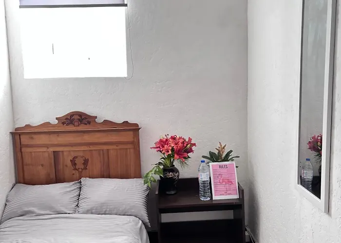 Casa Flamingo * Figueira da Foz