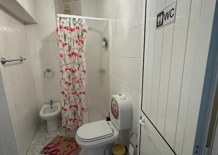 Casa Flamingo Figueira da Foz