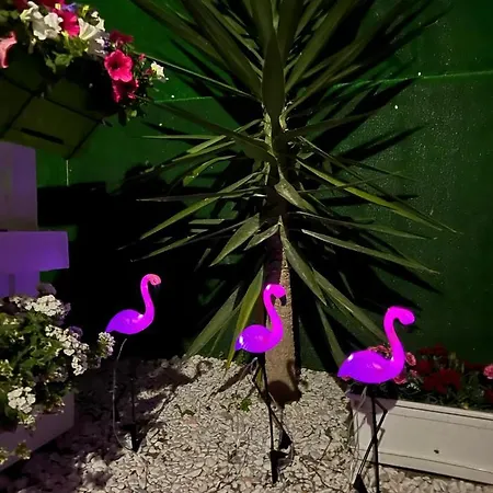 Parque de Campismo Casa Flamingo Figueira da Foz