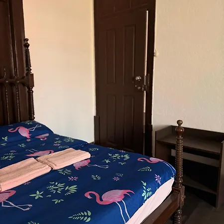 Casa Flamingo Campsite