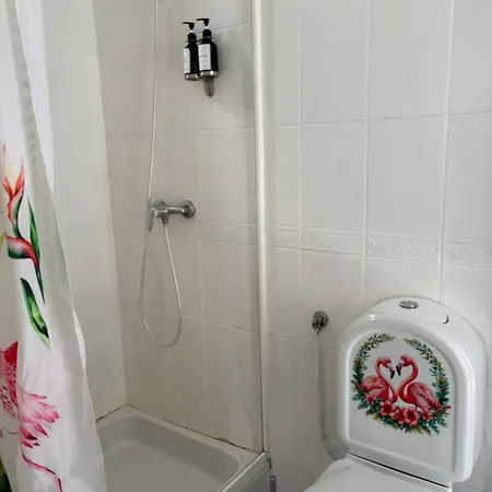 Campsite Casa Flamingo Figueira da Foz