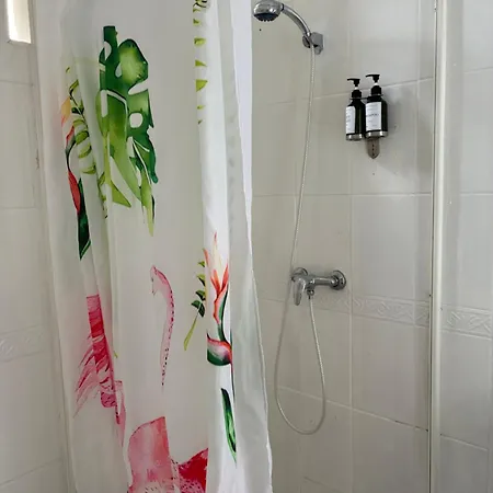 Casa Flamingo Figueira da Foz