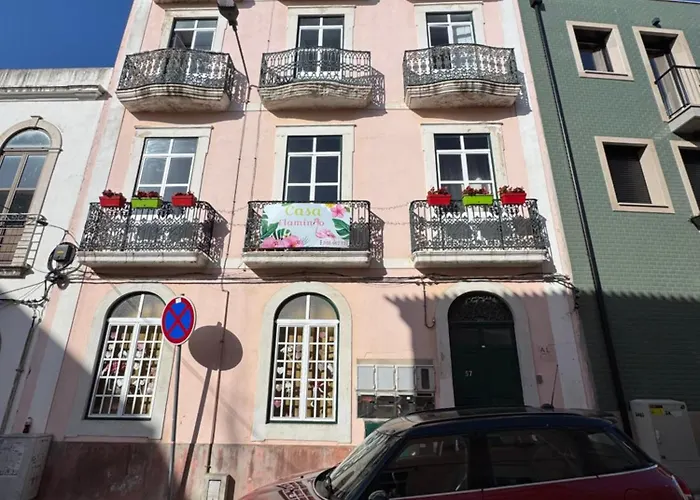 Casa Flamingo 营地